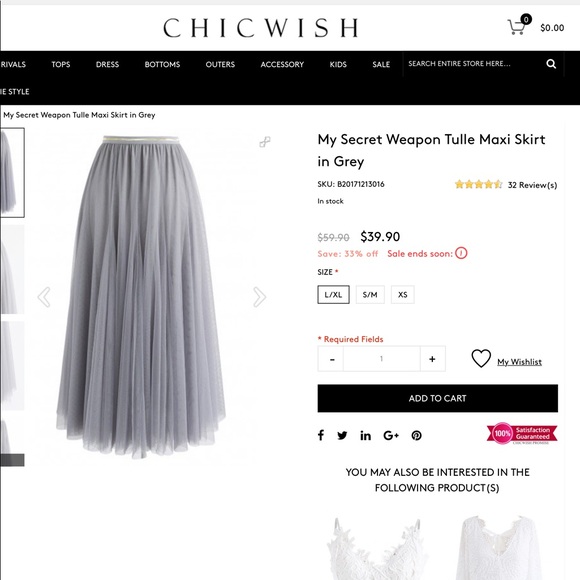 Chicwish Dresses & Skirts - Chicwish Tulle Maxi Skirt
